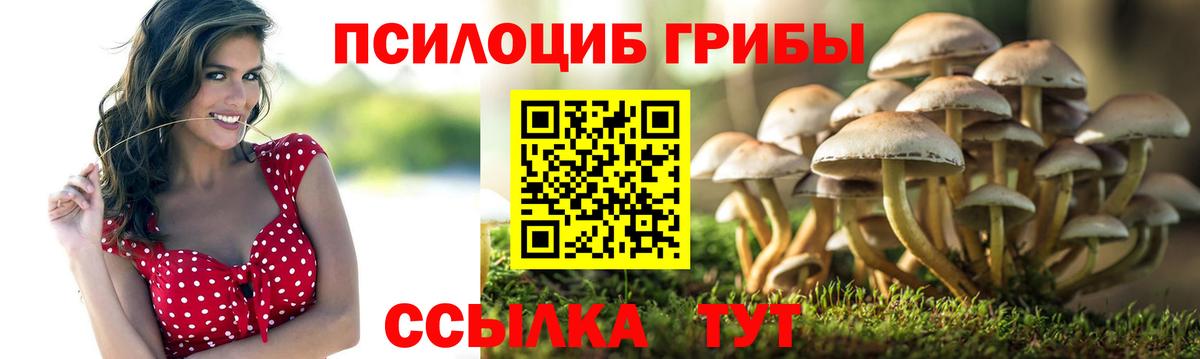 Усть-Илимск  Псилоцибиновые грибы Psilocybine cubensis  Вход с VPN  Псилоцибиновые грибы Magic Shrooms 